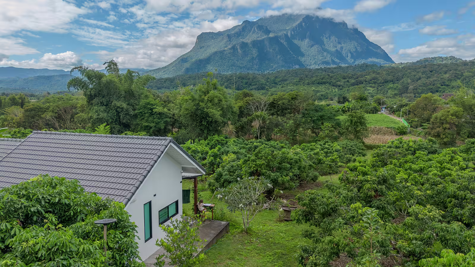 Baan Toto cottage nestled in green orchards with Chiang Dao mountain in the background