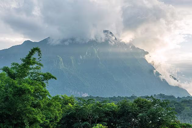 Panoramic mountain and orchard views